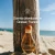 Droplet Mimosa "Happy" Reed Diffuser