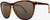 Electric Encelia Sunglasses - Gloss Tort/Bronze Polarized