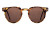 Spitfire Teddy Boy Sunglasses - Tortoise Shell / Brown
