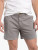 Chubbies The Silver Linings Shorts - Grey