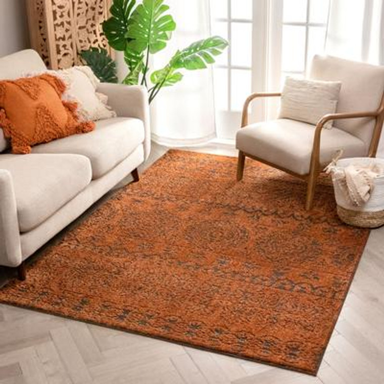 Rust Modern Vintage Mediterranean Soft Area Rug
