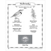 Grades 1-6 Maps of the USA Ebook