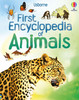 Usborne First Encyclopedia 6-Volume Series For Ages 5+