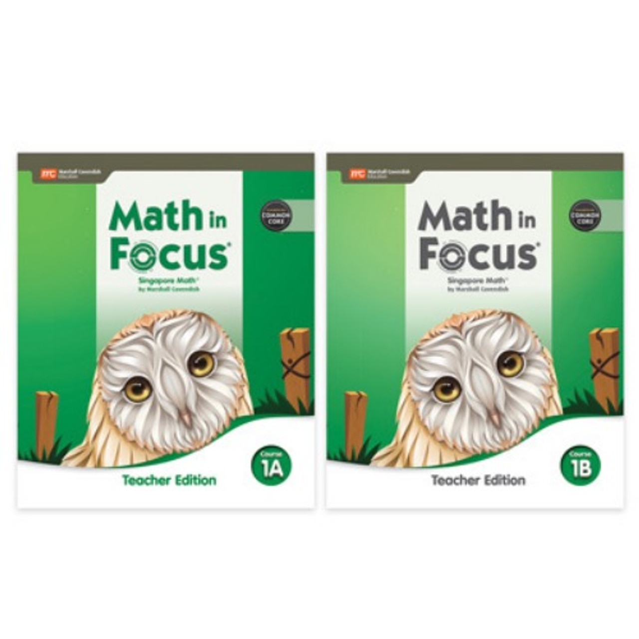 Pearson Common Core Literature Grade 6 Teacher's Edition