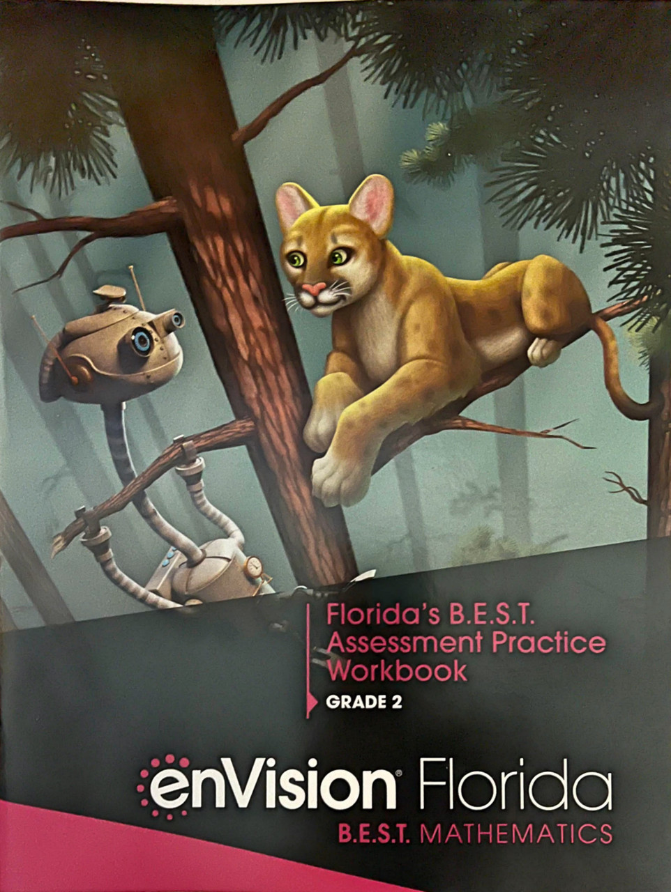 Grade 5 Envision Math Florida B.E.S.T. Assessment Practice Workbook – 2023, Savvas