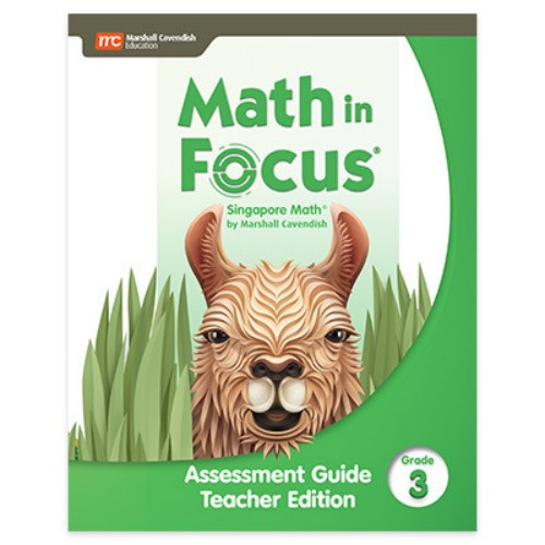 Math In Focus Curriculum