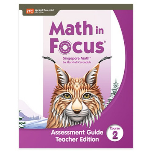 Math in Focus Extra Practice and Homework Course 2 Volume B 2020