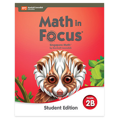 Math In Focus Curriculum