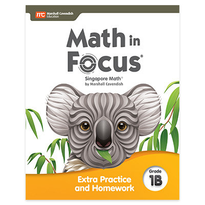 Math In Focus Curriculum