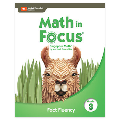 Math In Focus Curriculum