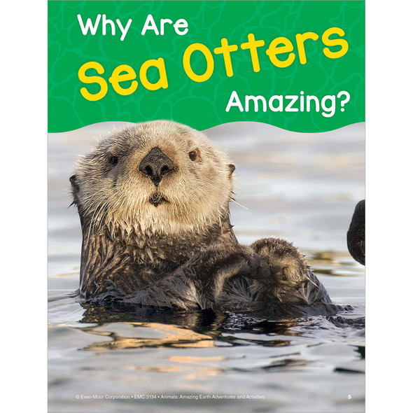 Grades 5-6 Animals: Amazing Earth Adventures and Activities