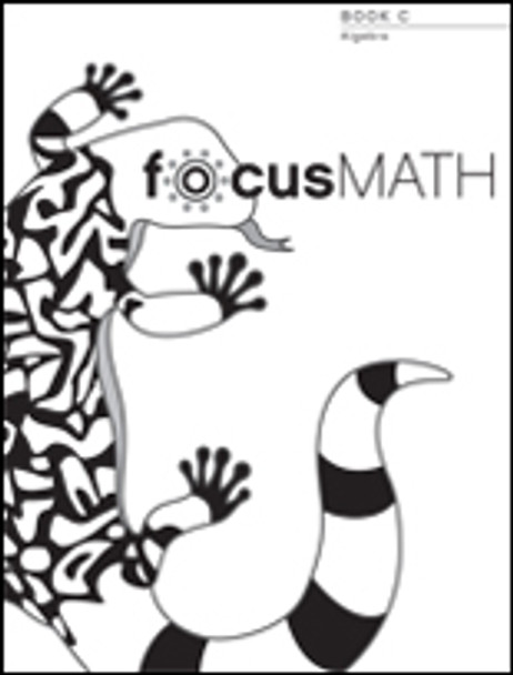 Grade 6 focusMATH Intensive Intervention Student Workbook Book C