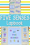 Lapbook: My 5 Senses