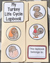 Lapbook: Turkey Life Cycle