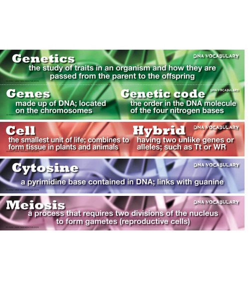 DNA Vocabulary Mini Bulletin Board Set