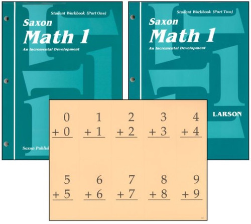 saxon math 1 student workbooks fact cards