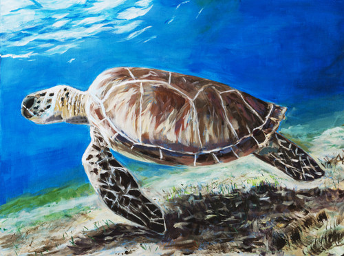 Sea Turtle -  Art Print Sea Turtle -  Art Print