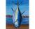 Hanging Tuna  -  Art Print