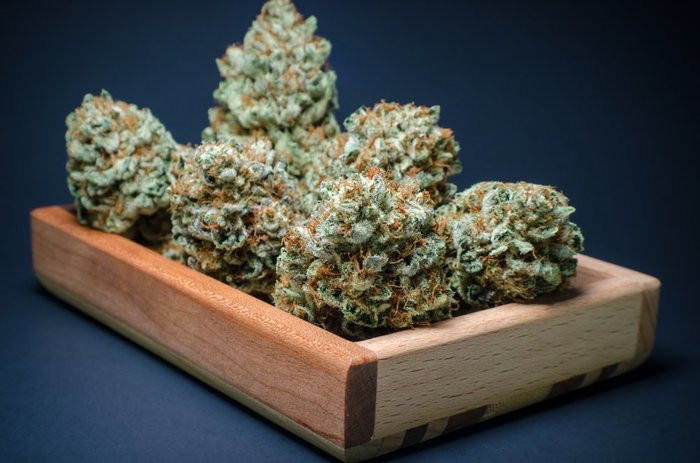 Strongest Weed Strains of 2026: High-Potency THCa Flower in Orlando