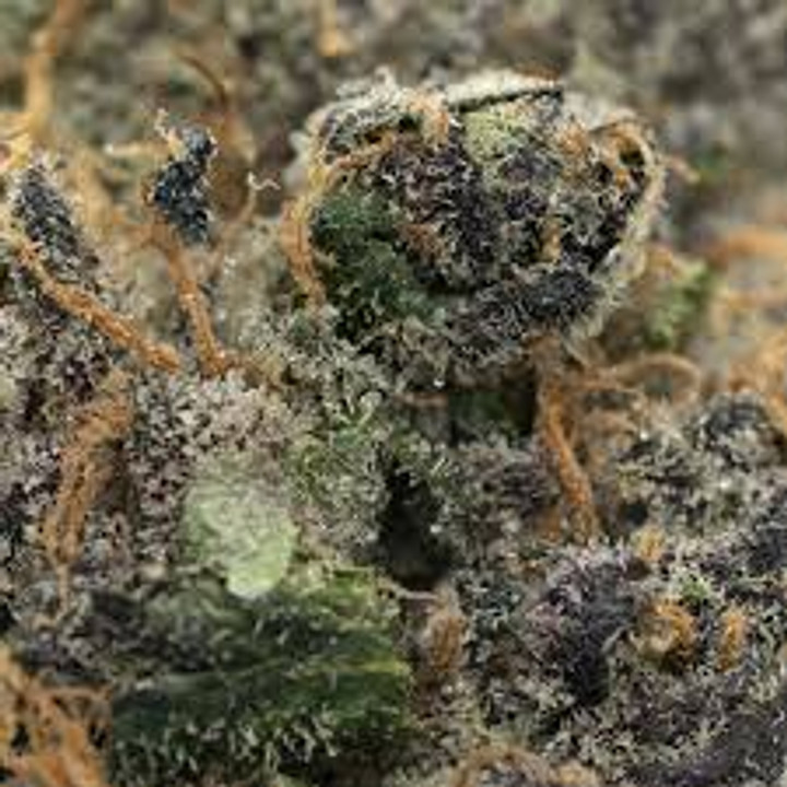 Grape Frosty THCA Flower (39%) | Indica for Relaxation