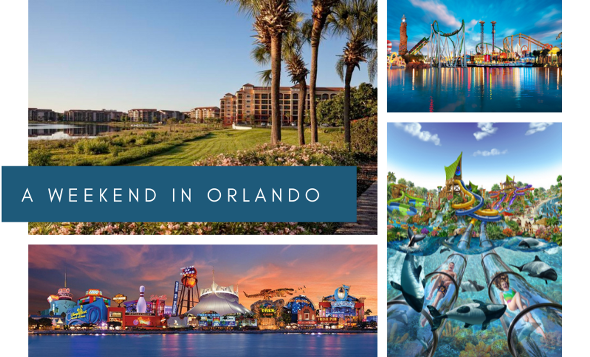Elevate Your Orlando Vacation with Legal Hemp Products from Green Health Delivery