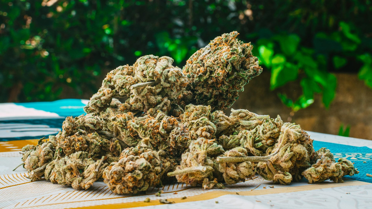 What is THCA Flower? (And Why Orlando is Ordering It Same-Day)