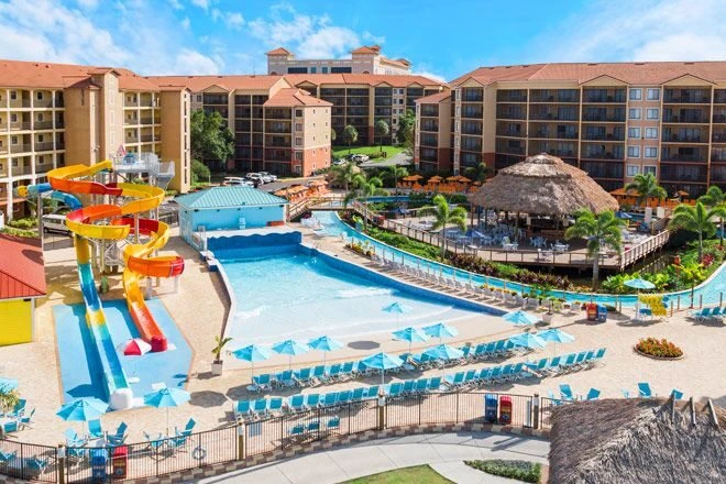 Same-Day Resort & Hotel Delivery: THCa Vapes, Edibles & Flower in Orlando