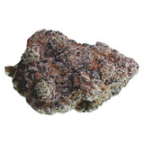 Blueberry Fuego Weed Strain
