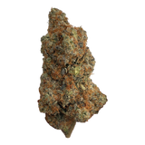 Brain Damage Strain - Indica