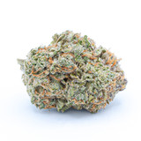 Buy Chocolope Strain Online