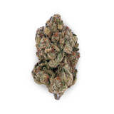Cat Pizz Strain For Sale Online