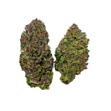 Hindu Kush For Sale
