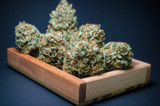 Strongest Weed Strains of 2026: High-Potency THCa Flower in Orlando