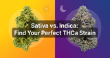 The 2026 Guide to THCa Strains: Choosing the Right Sativa, Indica, or Hybrid