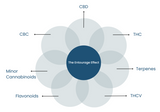 What is the Entourage Effect? | THCa, D8, & THCp Explained