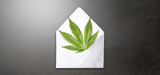 Is it Actually Legal to Ship THCa? Your 2026 Guide to Safe, Nationwide Hemp Delivery