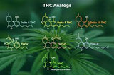 How Strong is THCP? A Guide to Potency and Recovery Tips