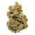 buy Sour Slushie THCA online