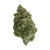 Buy Cherry Pie THCA Flower Online