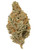 buy Blueberry Yum Yum Strain online
