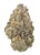 Buy-THCA-Flower-Online-Orange-Apricot-MAC-Strain