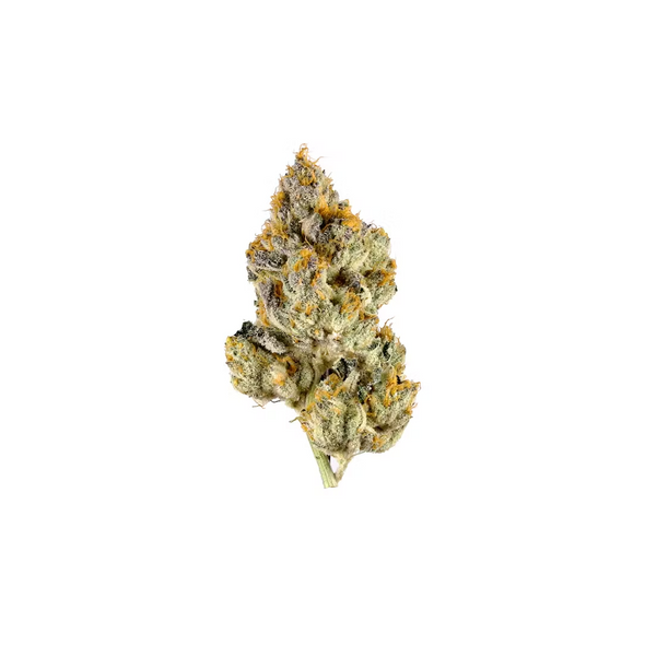 Lemon Cherry Gelato Flower For Sale Lemon Cherry Gelato Flower For Sale