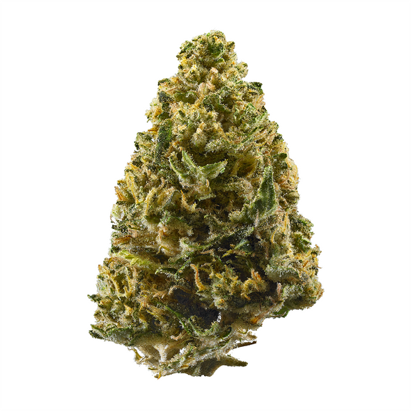 Buy Northern Lights Online