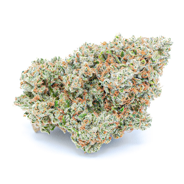 WiFi OG Nug On White Background