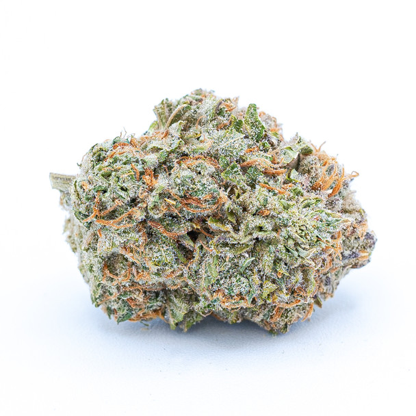 Buy Chocolope Strain Online