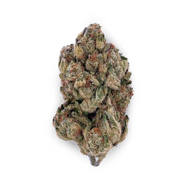 Cat Pizz Strain For Sale Online