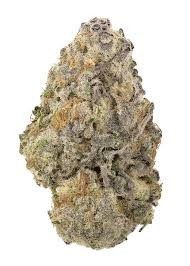 Buy-THCA-Flower-Online-Orange-Apricot-MAC-Strain