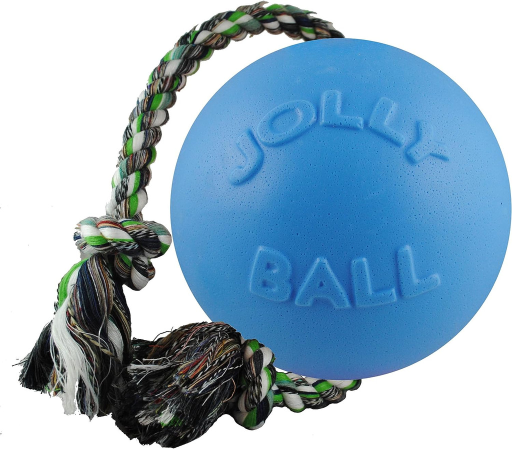 Jolly Pets Romp-n-Roll 4.5 inch Blueberry  Rubber Ball with Rope for Dogs