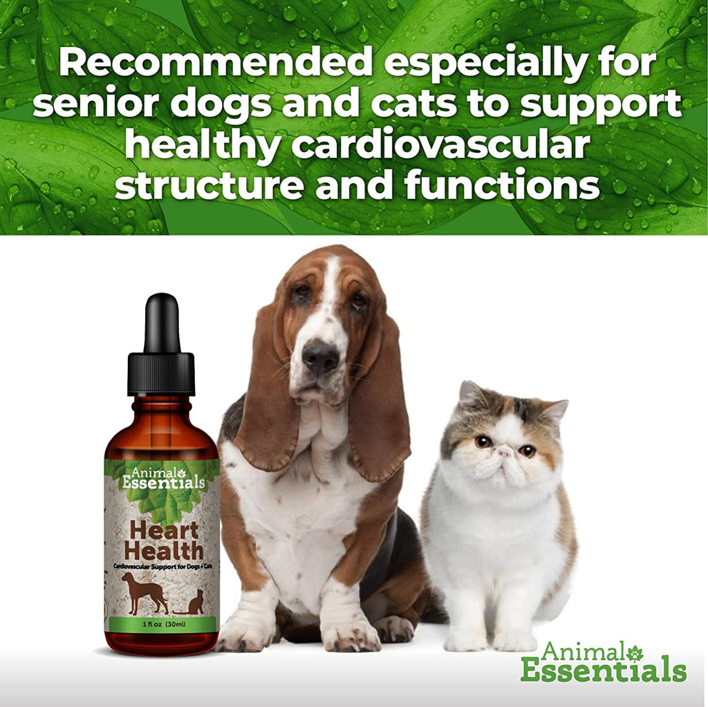 Animal Essentials Heart Health 1 oz Cardiovascular Support for Dogs and Cats