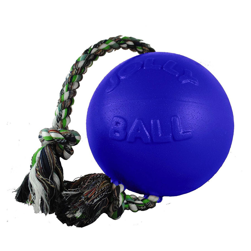 Jolly Pets Romp-n-Roll 8 inch Blue  Rubber Ball with Rope for Dogs